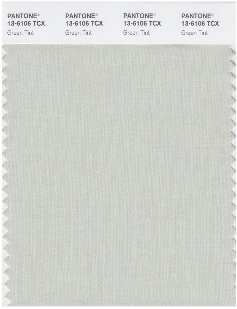 Pantone Smart 13-6106 TCX Color Swatch Card | Green Tint