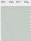 Pantone Smart 13-6107 TCX Color Swatch Card | Green Lily