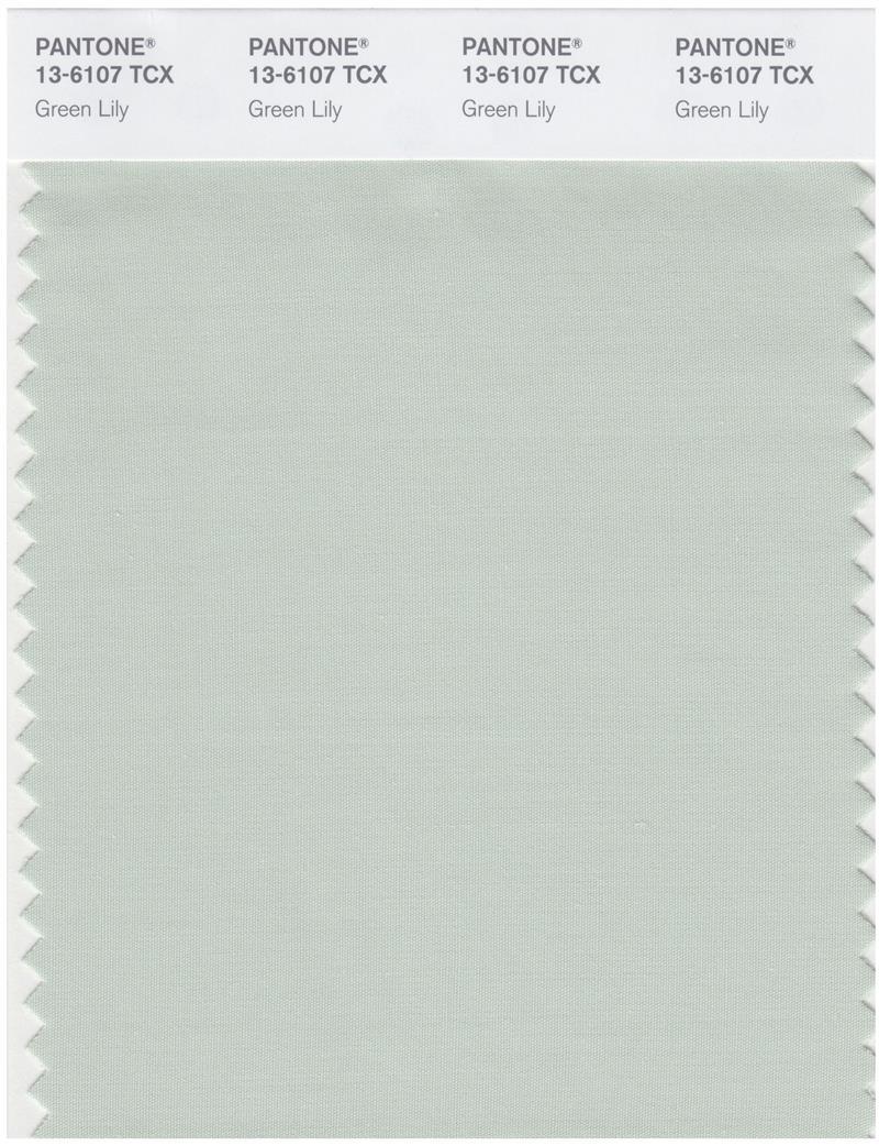 Pantone Smart 13-6107 TCX Color Swatch Card | Green Lily