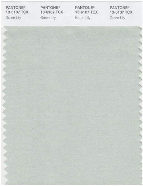 Pantone Smart 13-6107 TCX Color Swatch Card | Green Lily