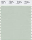 Pantone Smart 13-6108 TCX Color Swatch Card | Celadon