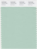 Pantone Smart 13-6110 TCX Color Swatch Card | Mist Green