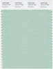 Pantone Smart 13-6110 TCX Color Swatch Card | Mist Green