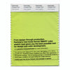 Pantone Smart 13-0443 TCX Color Swatch Card | Lime Popsicle