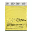 Pantone Smart 13-0646 TCX Color Swatch Card | Meadowlark