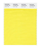 Pantone Smart 13-0756 TCX Color Swatch Card | Lemon Zest