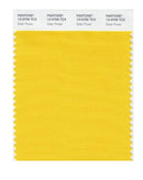 Pantone Smart 13-0759 TCX Color Swatch Card | Solar Power