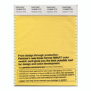 Pantone Smart 13-0849 TCX Color Swatch Card | Habañero Gold