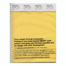 Pantone Smart 13-0851 TCX Color Swatch Card | Minion Yellow™