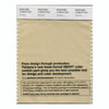 Pantone Smart 13-0919 TCX Color Swatch Card | Soybean