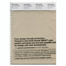 Pantone Smart 13-1105 TCX Color Swatch Card | Brown Rice