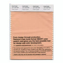 Pantone Smart 13-1125 TCX Color Swatch Card | Peach Quartz