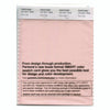 Pantone Smart 13-1511 TCX Color Swatch Card | Pink Salt