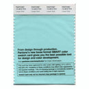 Pantone Smart 13-4810 TCX Color Swatch Card | Limpet Shell