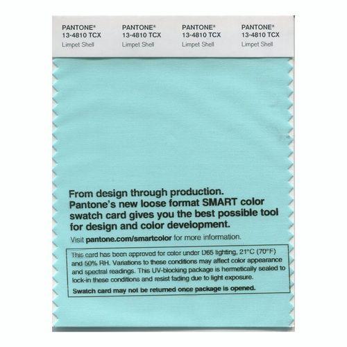 Pantone Smart 13-4810 TCX Color Swatch Card | Limpet Shell