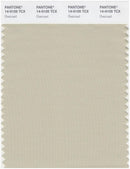 Pantone Smart 14-0108 TCX Color Swatch Card | Castle Wall