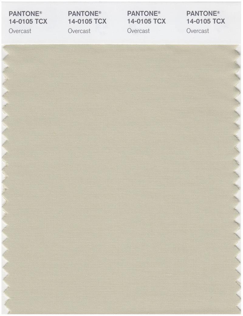 Pantone Smart 14-0105 TCX Color Swatch Card | Overcast