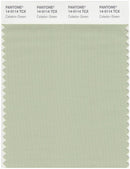 Pantone Smart 14-0114 TCX Color Swatch Card | Celadon Green