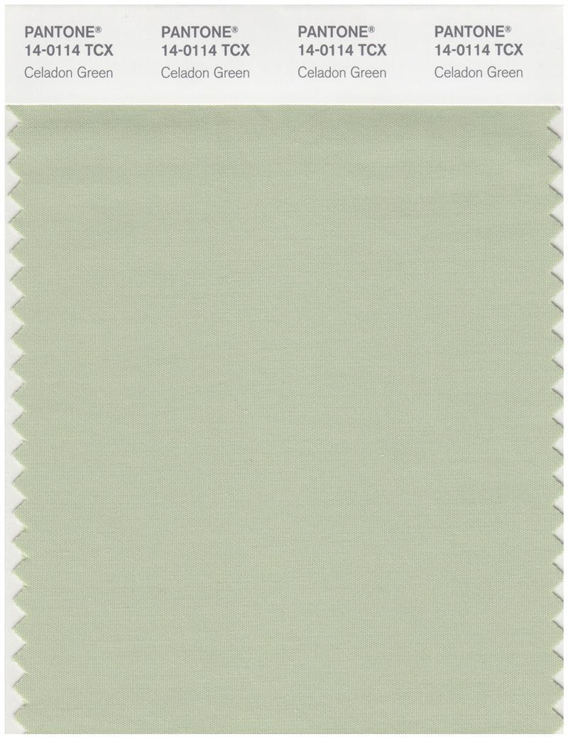 Pantone Smart 14-0114 TCX Color Swatch Card | Celadon Green