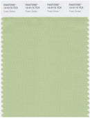 Pantone Smart 14-0115 TCX Color Swatch Card | Foam Green