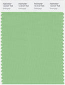 Pantone Smart 14-0127 TCX Color Swatch Card | Greengage