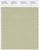 Pantone Smart 14-0216 TCX Color Swatch Card | Lint