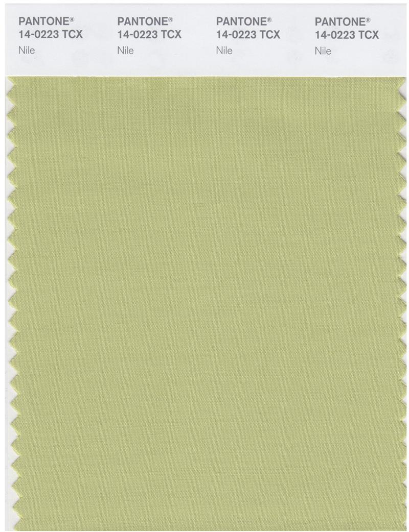 Pantone Smart 14-0223 TCX Color Swatch Card | Nile | Magazine Cafe ...