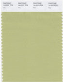 Pantone Smart 14-0223 TCX Color Swatch Card | Nile