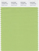Pantone Smart 14-0226 TCX Color Swatch Card | Opaline Green
