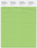 Pantone Smart 14-0232 TCX Color Swatch Card | Jade Lime