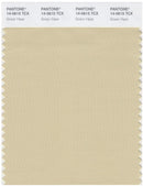 Pantone Smart 14-0615 TCX Color Swatch Card | Green Haze