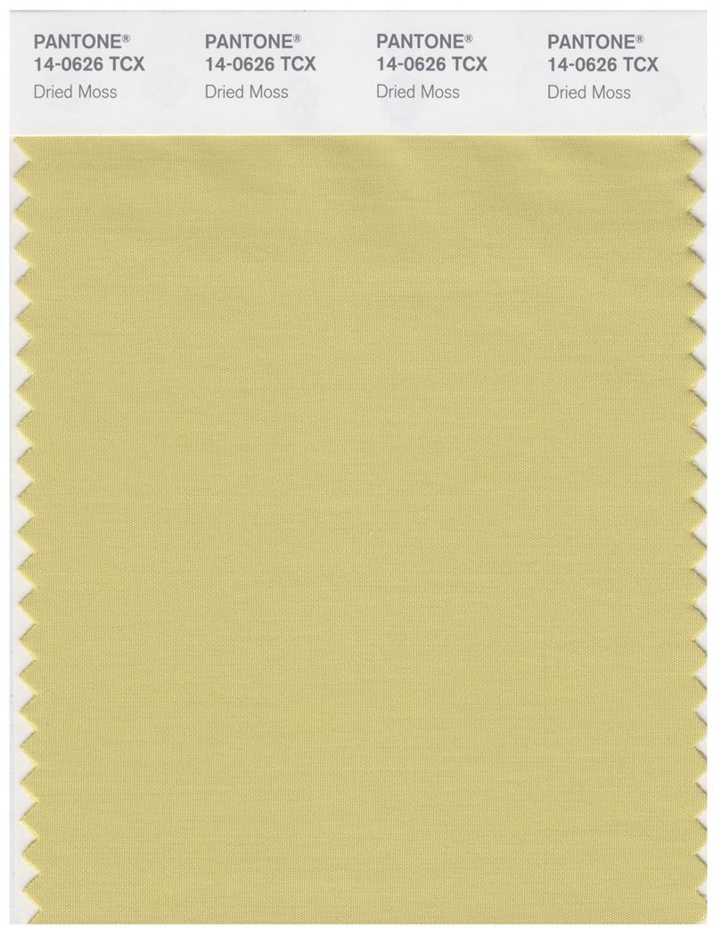 Pantone Smart 14-0626 TCX Color Swatch Card | Dried Moss