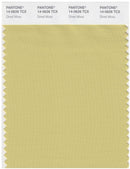 Pantone Smart 14-0636 TCX Color Swatch Card | Muted Lime