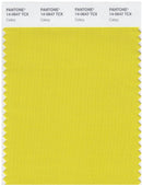 Pantone Smart 14-0647 TCX Color Swatch Card | Celery