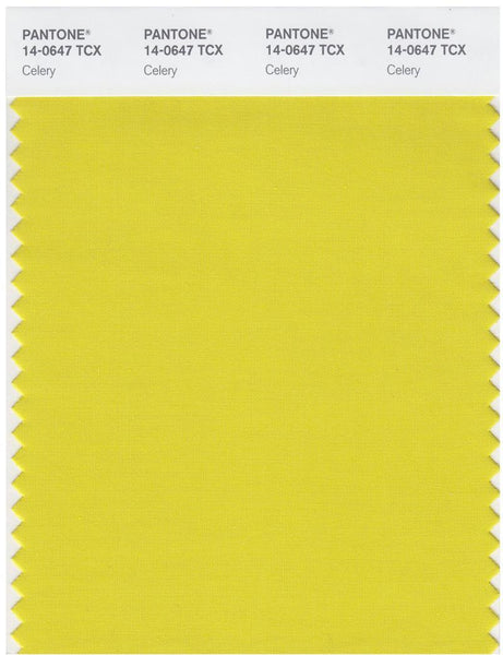 その他 PANTONE Color 0verlay Silector Pantone P 174-4 C Color | Hex color Code #969a9d information