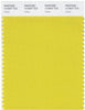 Pantone Smart 14-0647 TCX Color Swatch Card | Celery