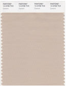 Pantone Smart 14-0708 TCX Color Swatch Card | Cement