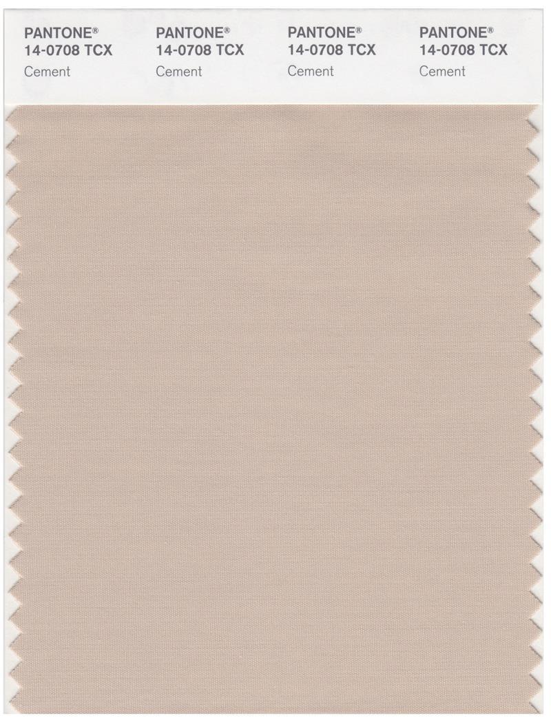 Pantone Smart 14-0708 TCX Color Swatch Card | Cement