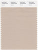 Pantone Smart 14-0708 TCX Color Swatch Card | Cement