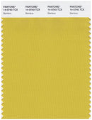 Pantone Smart 14-0740 TCX Color Swatch Card | Bamboo