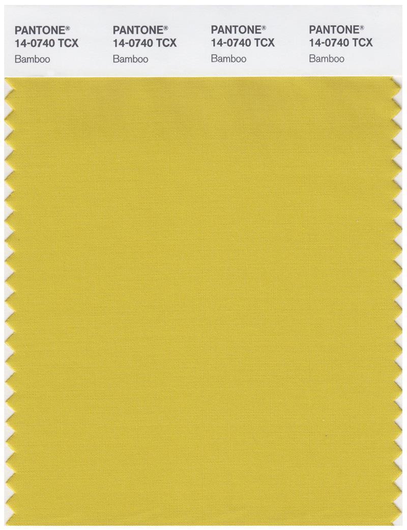 Pantone Smart 14-0740 TCX Color Swatch Card | Bamboo