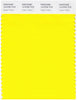 Pantone Smart 14-0760 TCX Color Swatch Card | Cyber Yellow