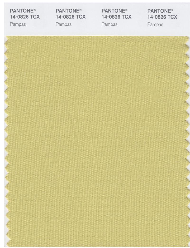 Pantone Smart 14-0826 TCX Color Swatch Card | Pampas