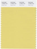 Pantone Smart 14-0827 TCX Color Swatch Card | Dusky Citron