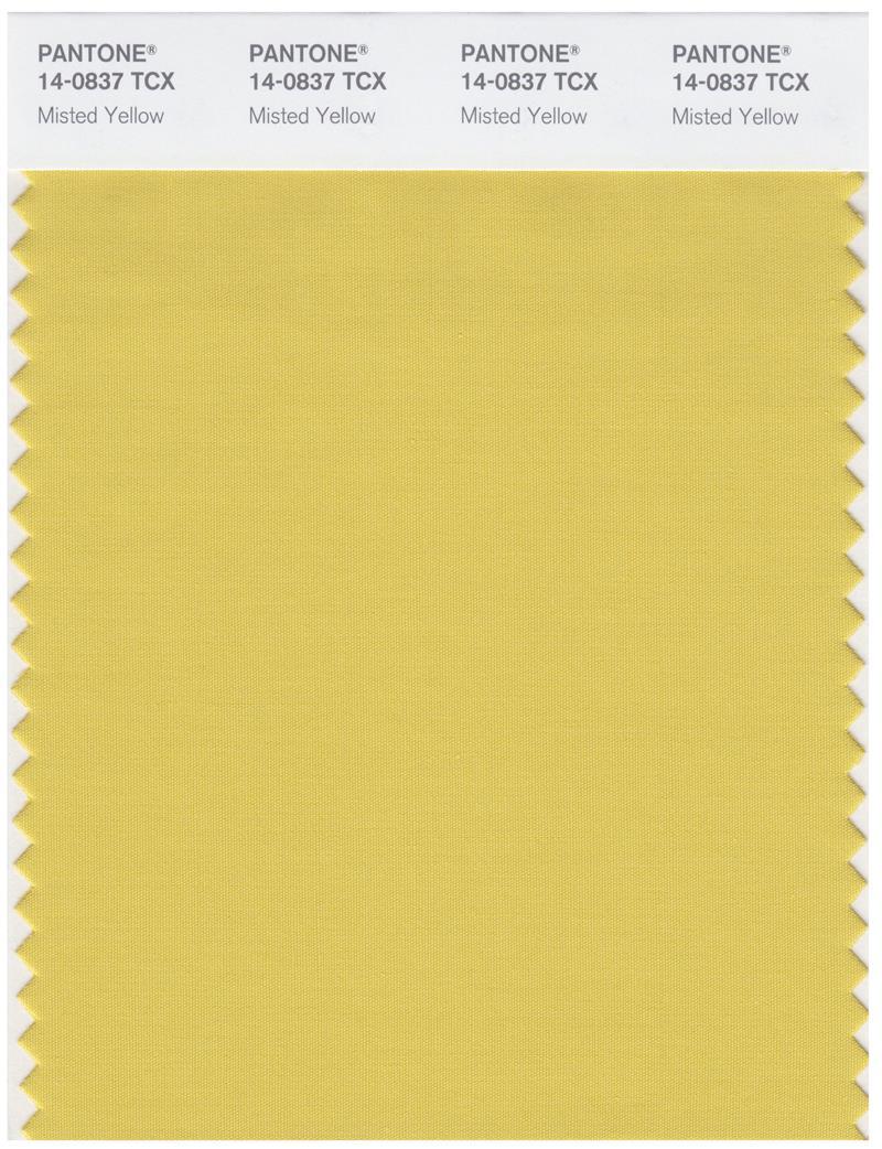 Pantone Smart 14-0837 TCX Color Swatch Card | Misted Yellow