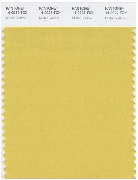 鮎タモ Pantone Smart 14-0837 TCX Color Swatch Card | Misted Yellow