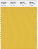 Pantone Smart 14-0846 TCX Color Swatch Card | Yolk Yellow