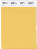 Pantone Smart 14-0848 TCX Color Swatch Card | Mimosa