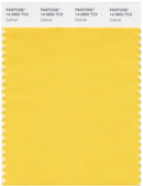 Pantone Smart 14-0850 TCX Color Swatch Card | Daffodil