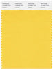 Pantone Smart 14-0850 TCX Color Swatch Card | Daffodil